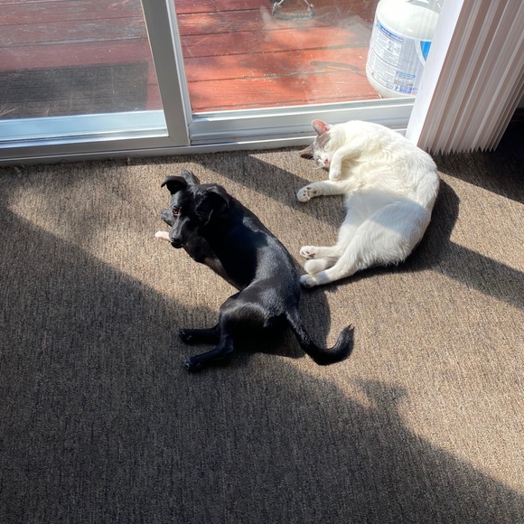 Meet your Posher, Britney - Picture 8 of 16